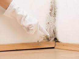 Best Residential Mold Inspection & Testing  in Douglass, KS